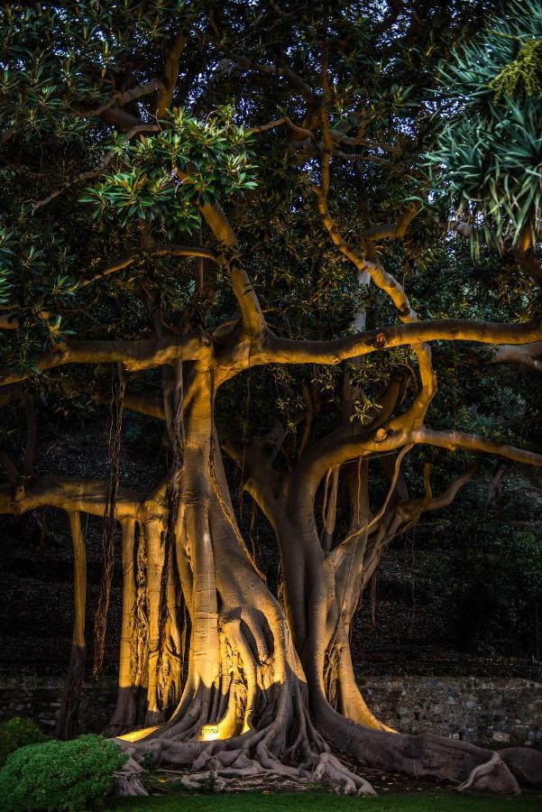 Villa Pulejo Messina Dış mekan fotoğraf